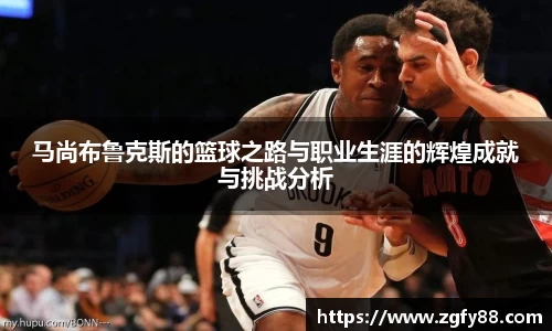 bsports官网