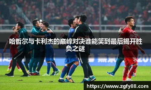bsports必一体育